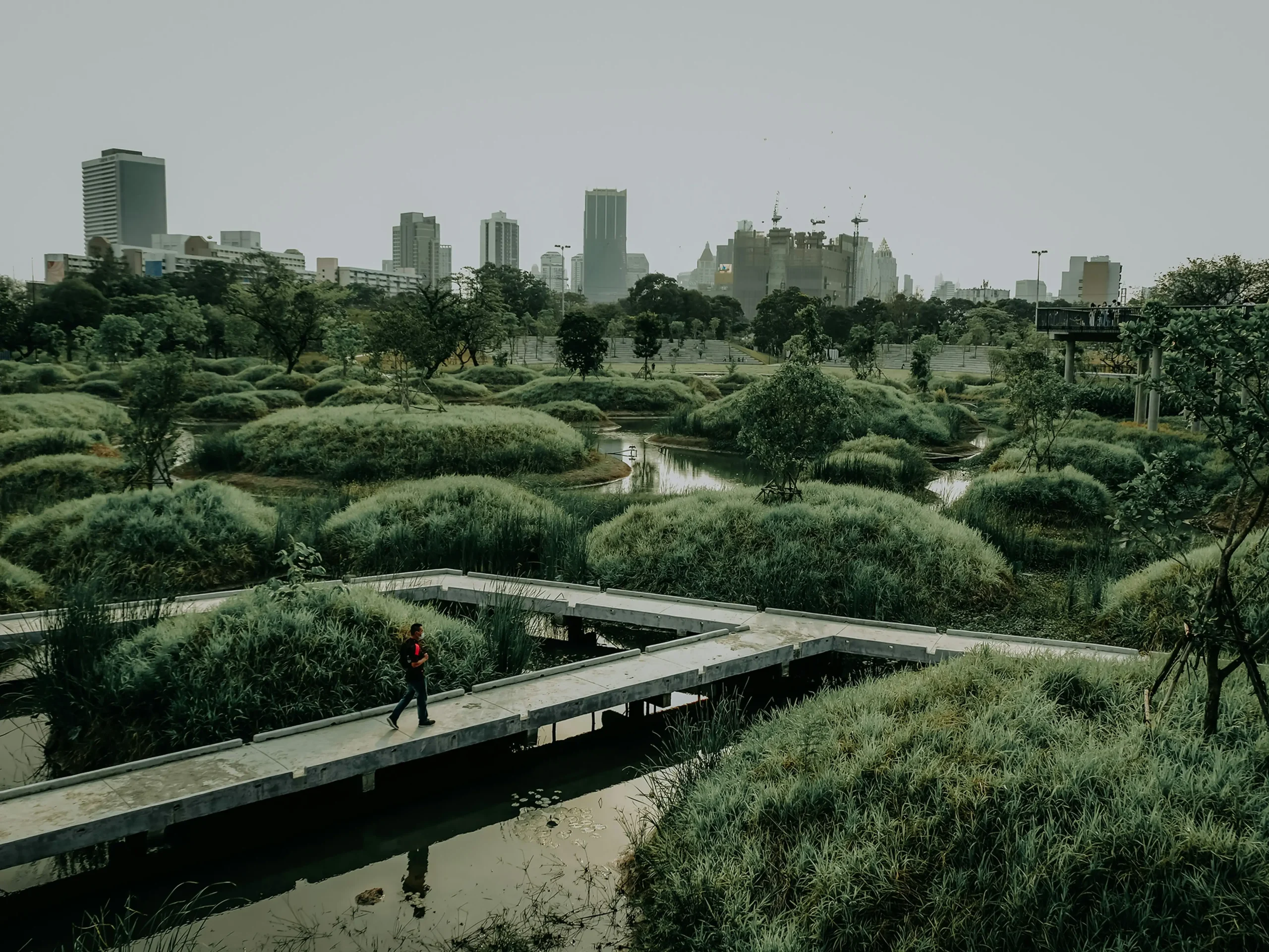 Nature Tour