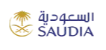 Airline Logo 7